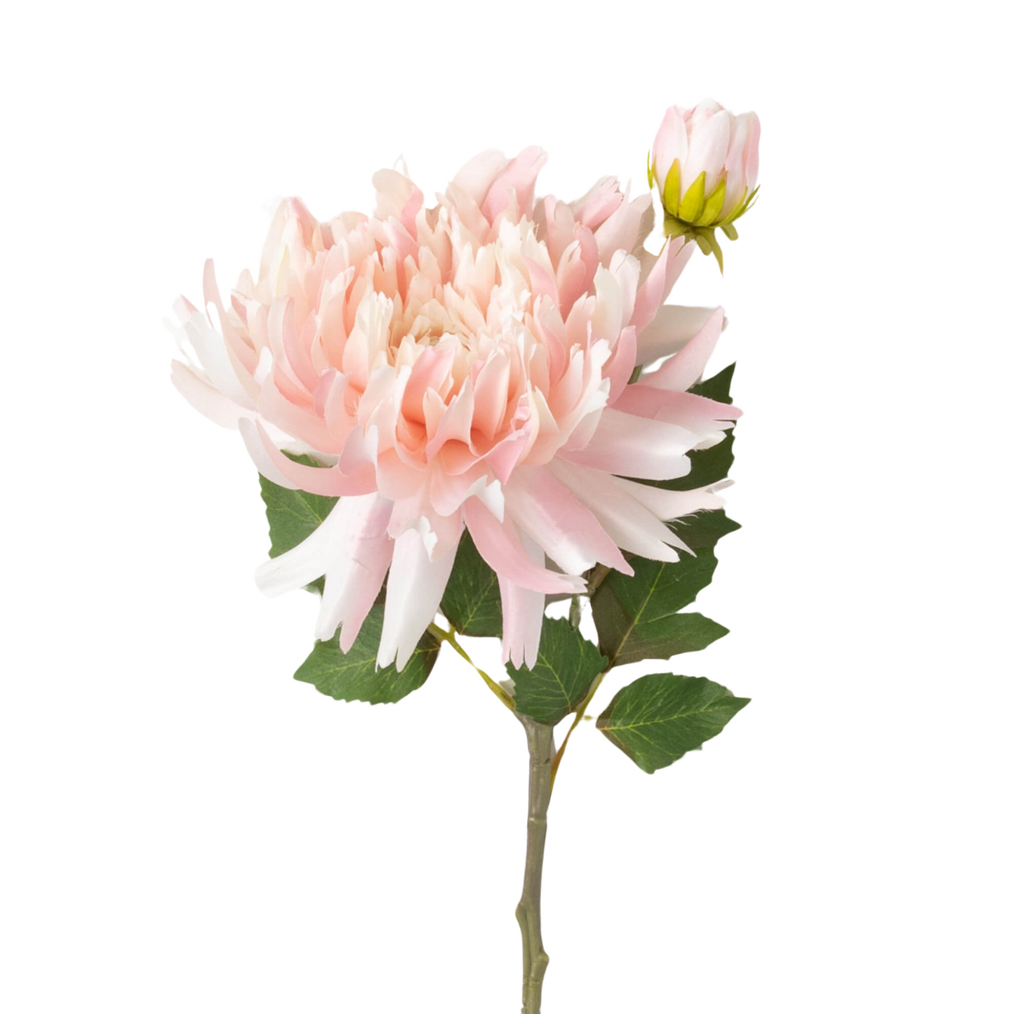 Dahlia Spray Pale Pink