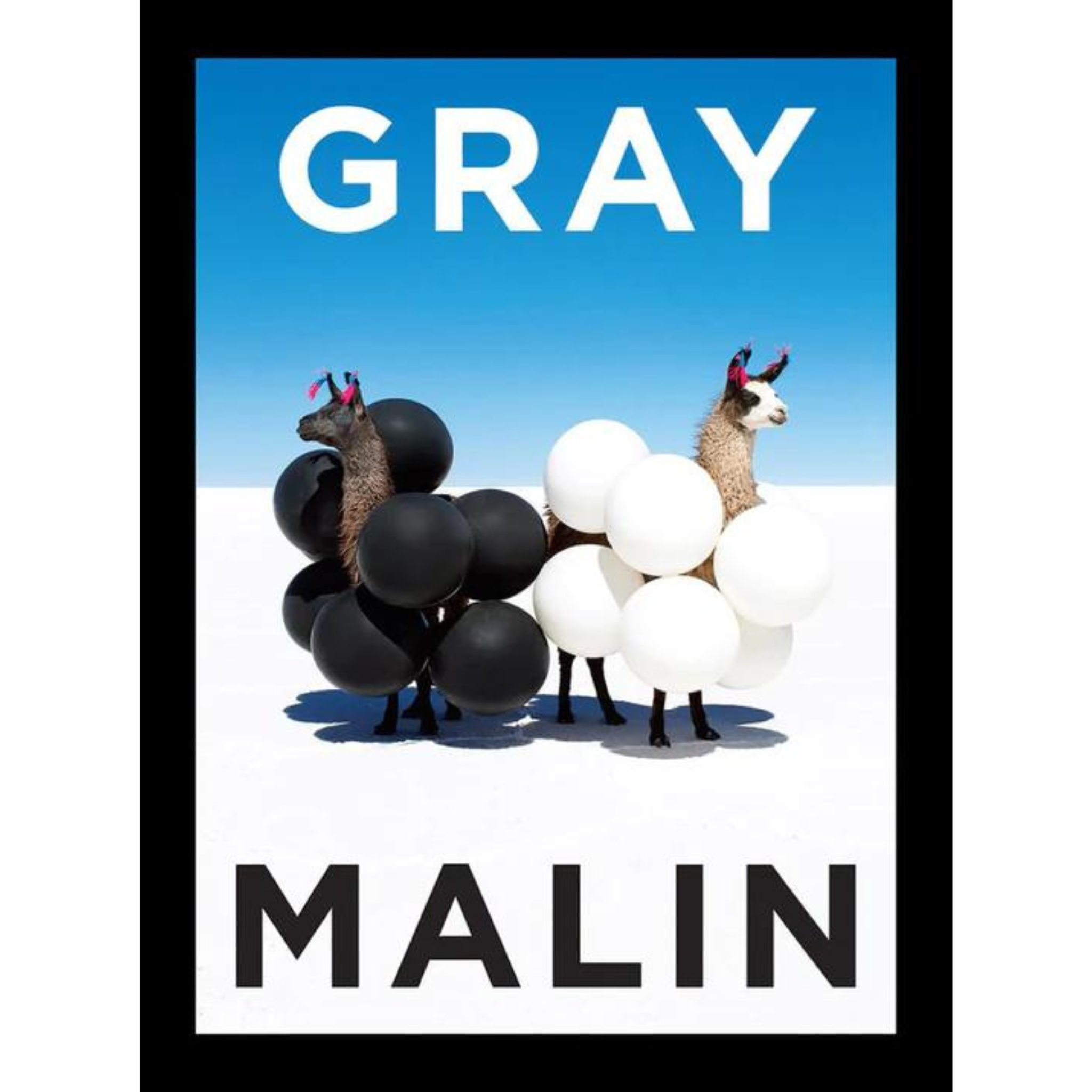 Gray Malin: Essential Collection