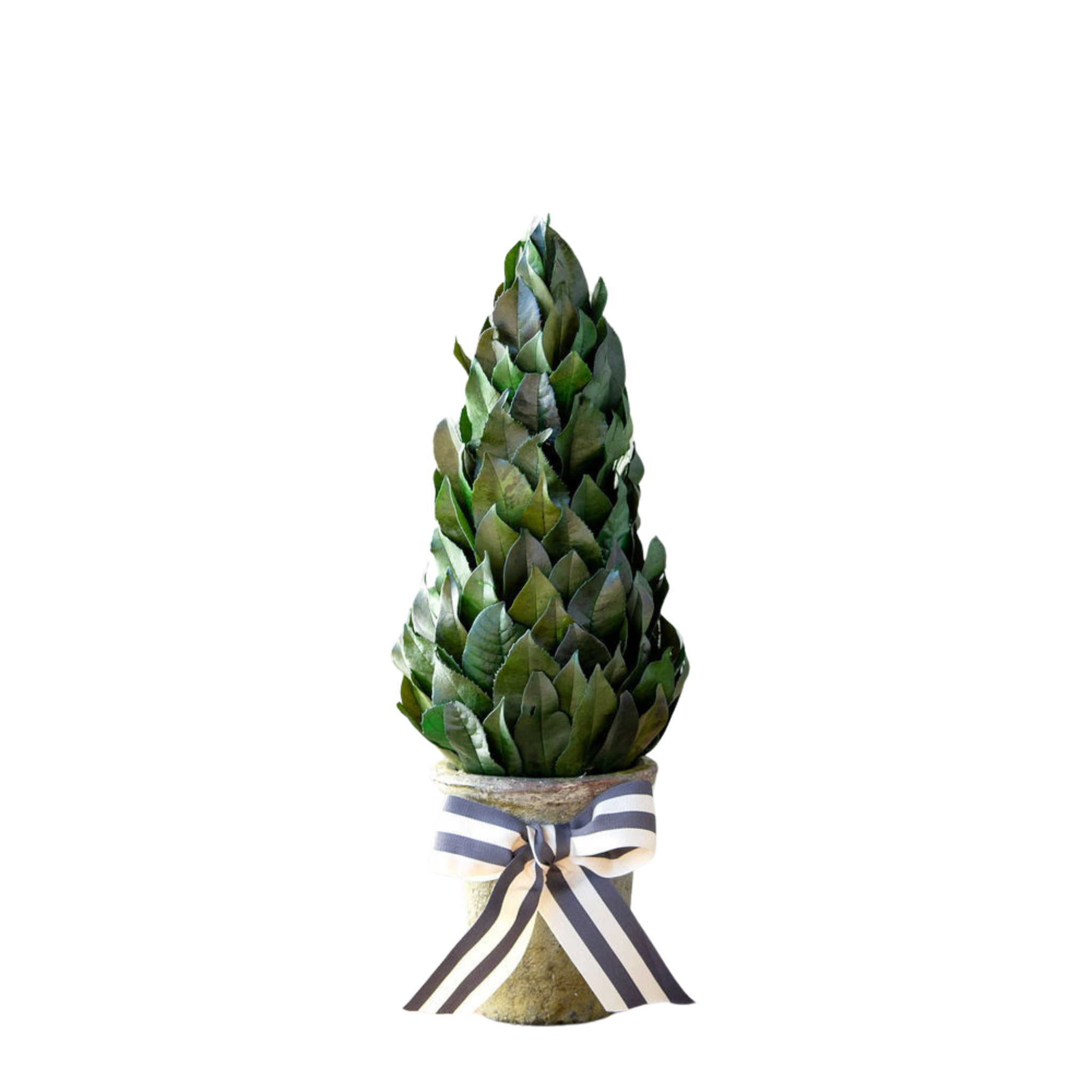 Lemon Leaf Topiary, Small