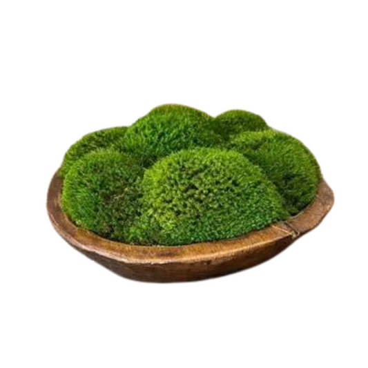 Moss Round Wood Bowl: Natural