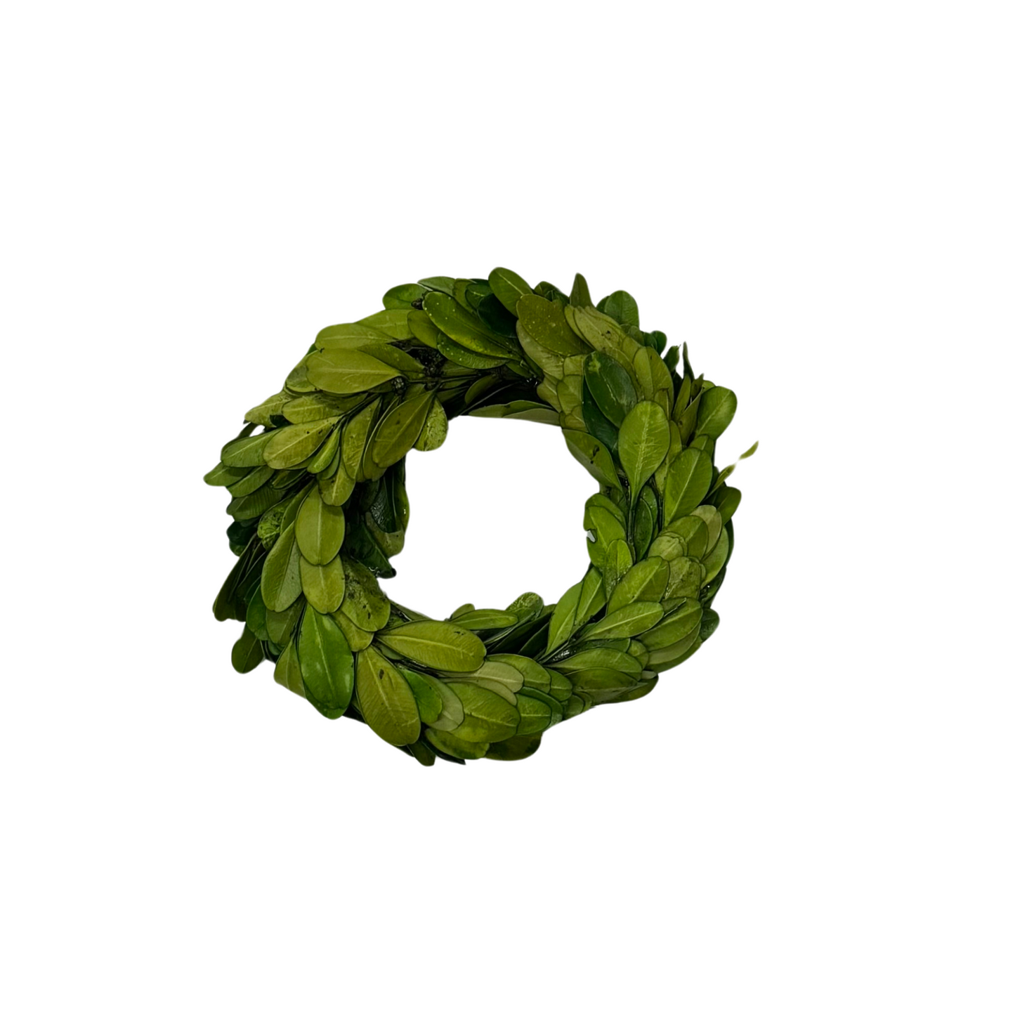 Boxwood Mini Wreath