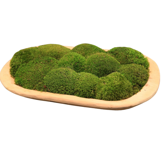 Moss Medium Wood Carved Bowl: Natural