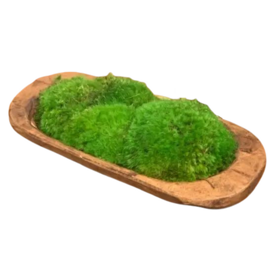 Extra Small Moss Bowl