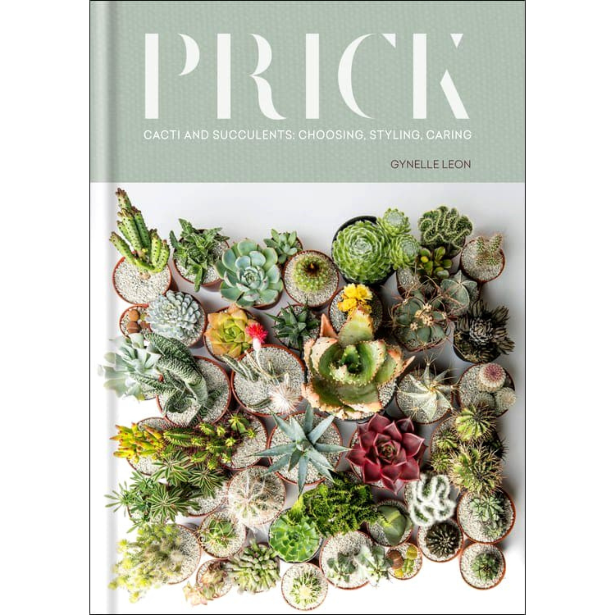 Prick: Cacti and Succulents Book