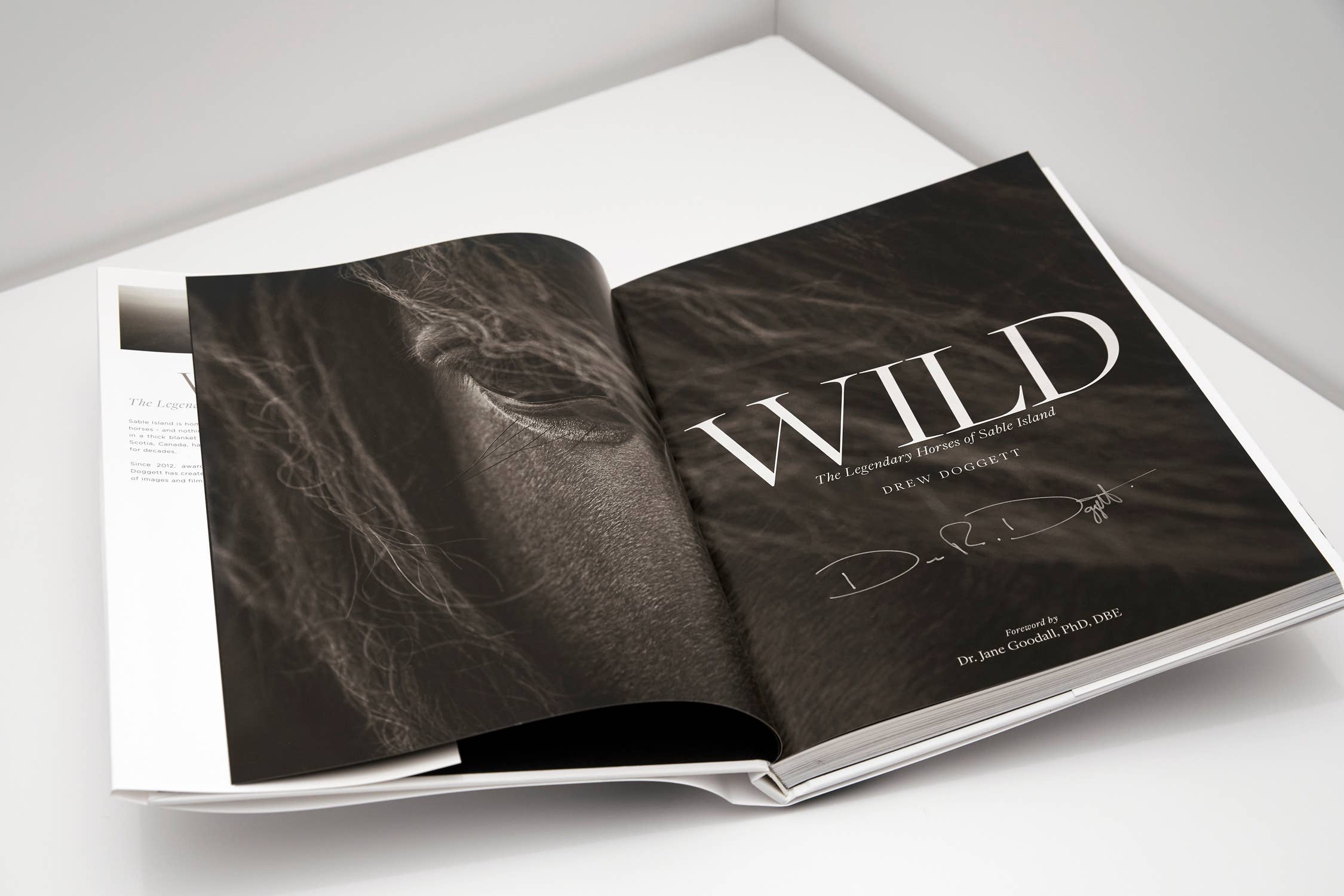 Wild: The Legendary Horses of Sable Island