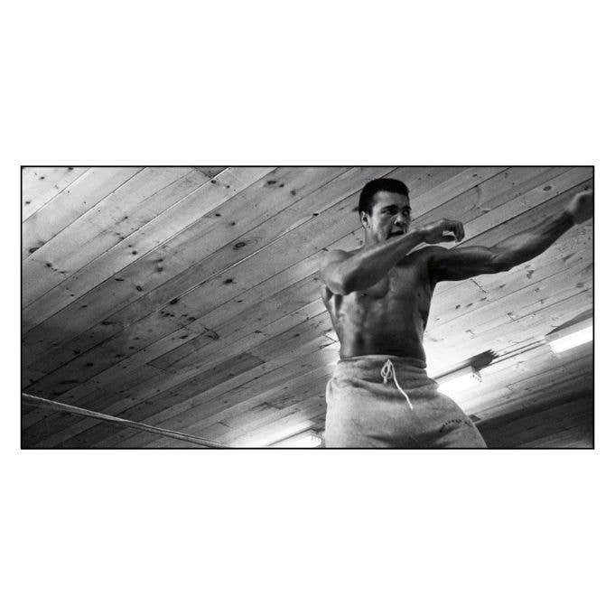 They Must Fall: Muhammad Ali and the Men He Fought