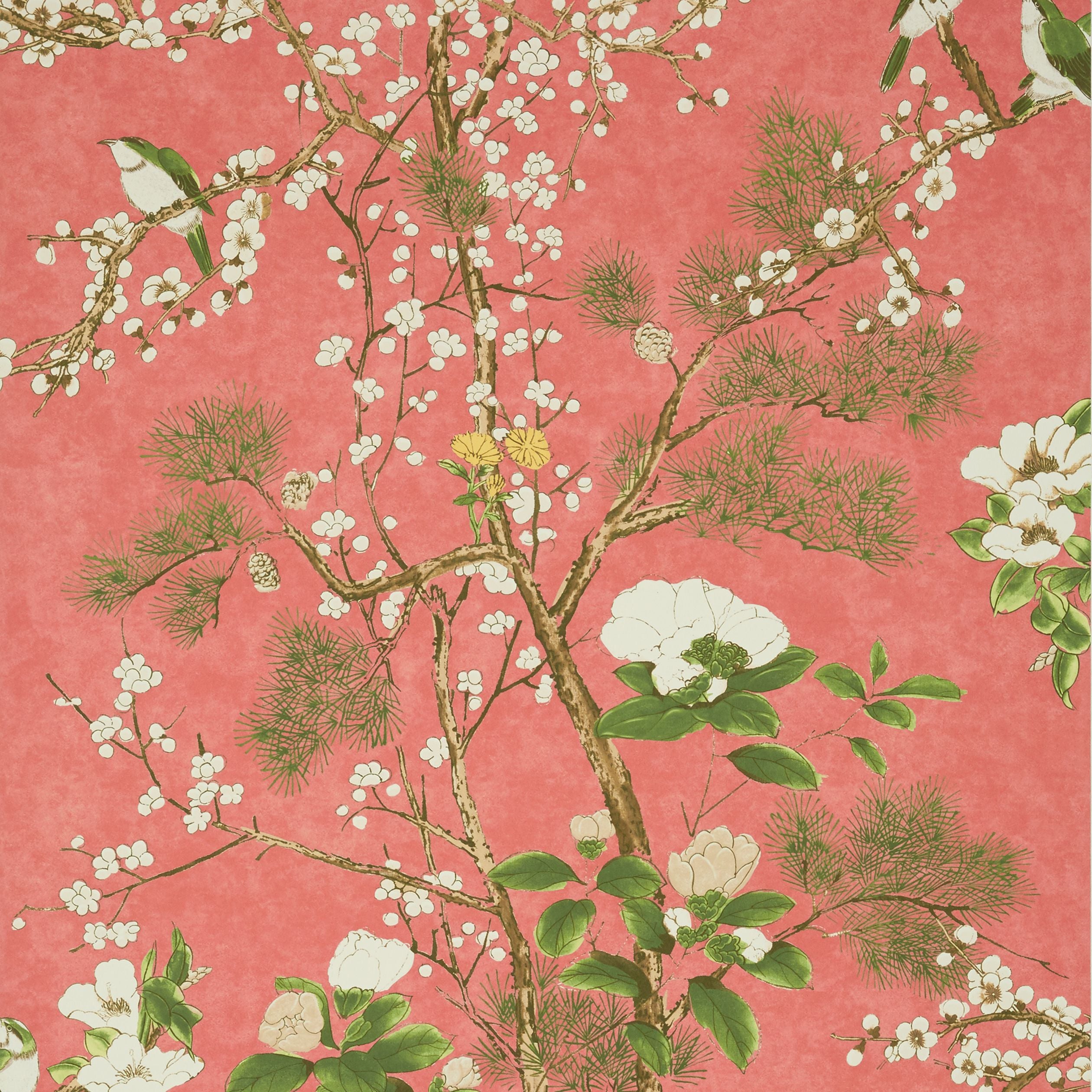 Katsura Thibaut Wallpaper - Double Roll