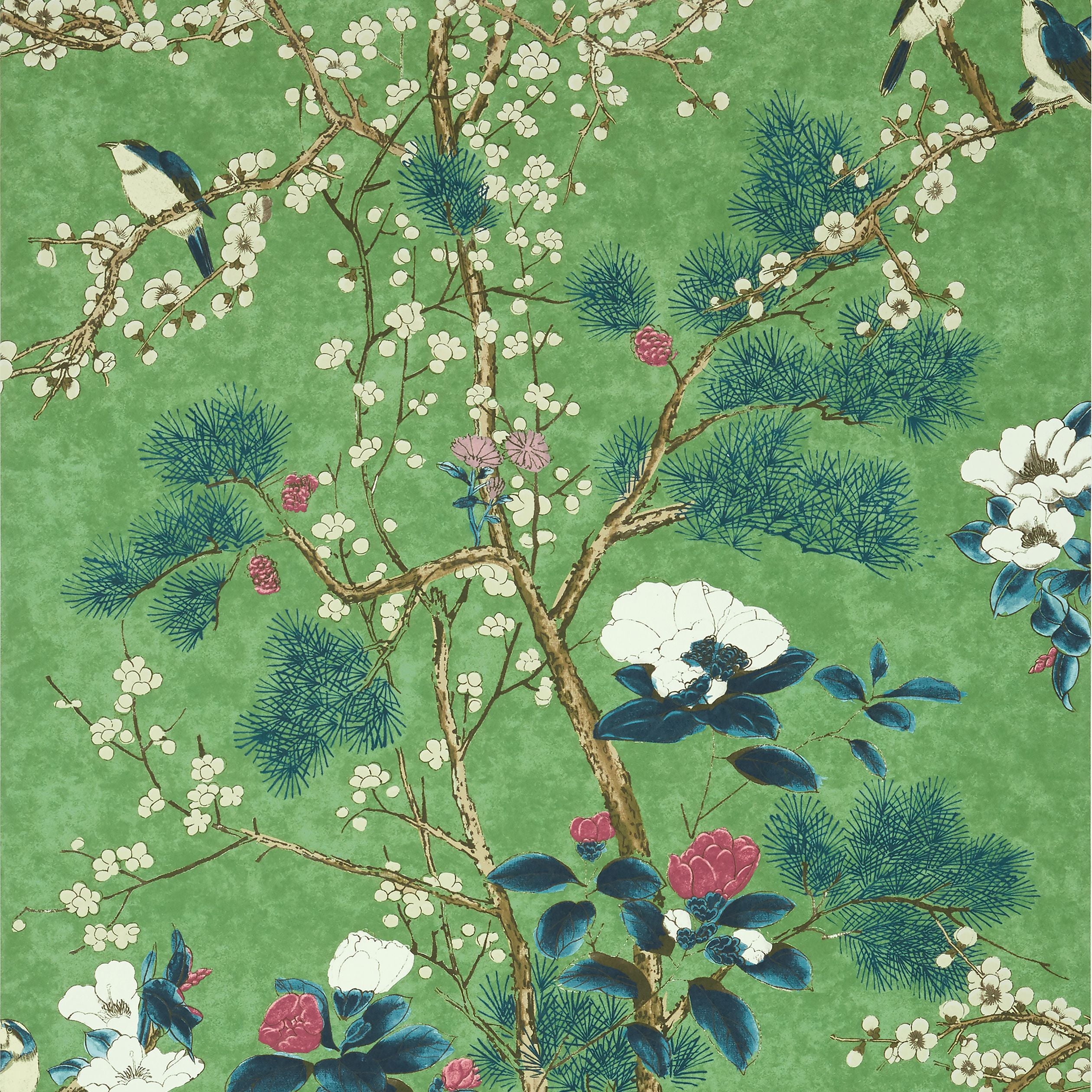 Katsura Thibaut Wallpaper - Double Roll