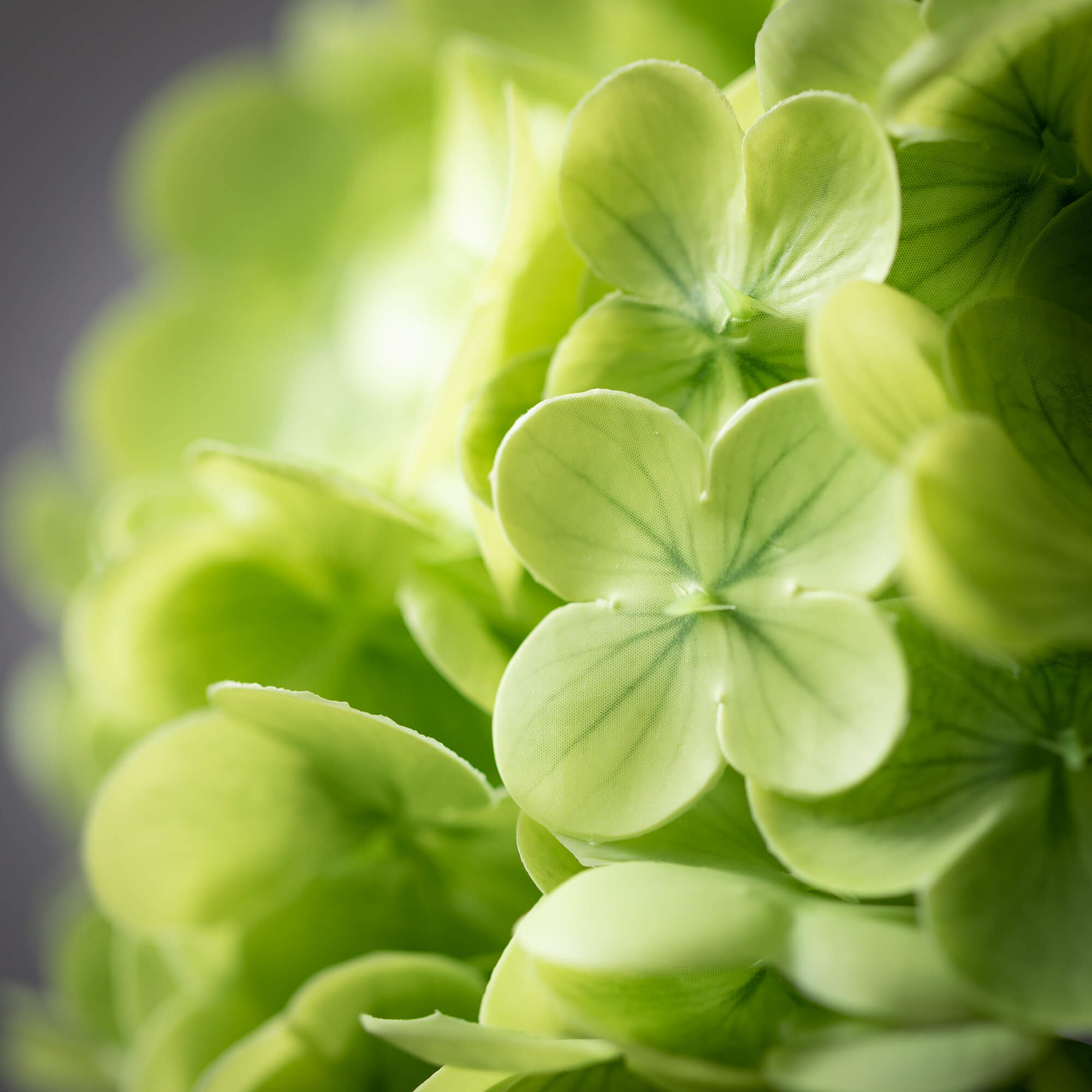 Green Hydrangea Spray | 20"