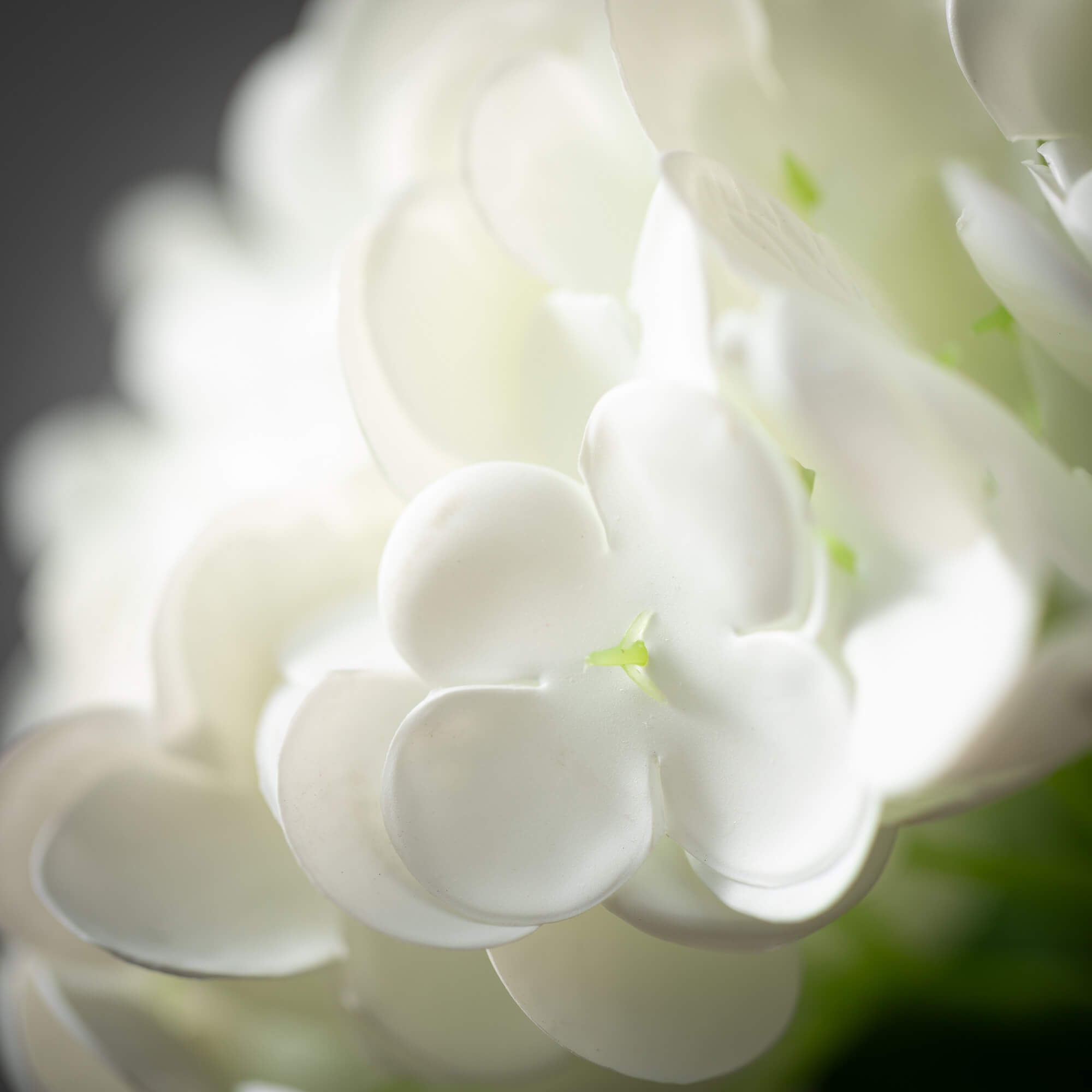 White Hydrangea Spray | 20"