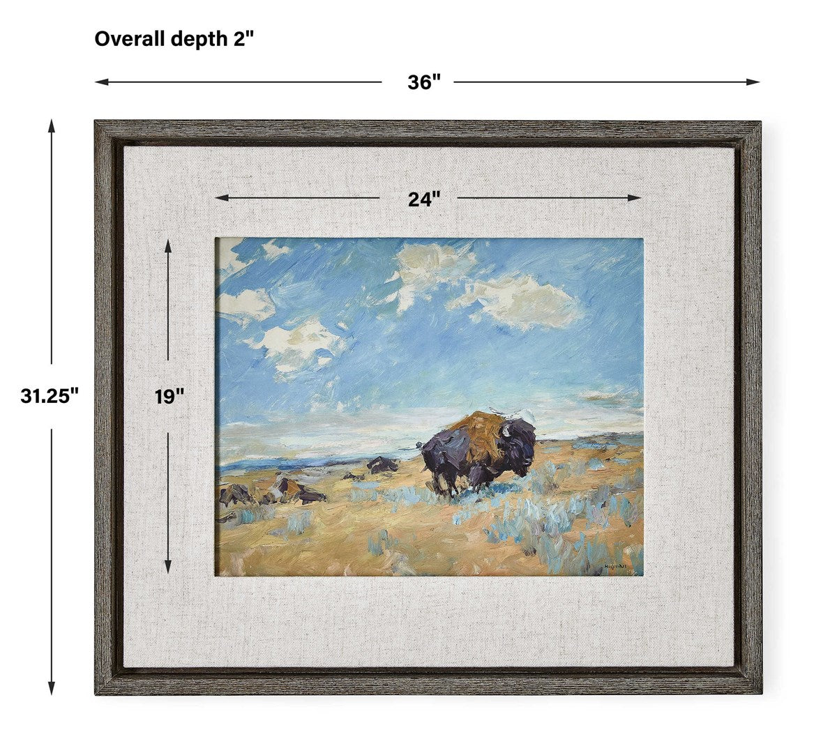 Buffalo Framed Canvas