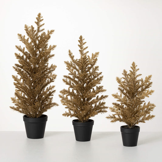 Small Gold Potted Pine Tree | 16"